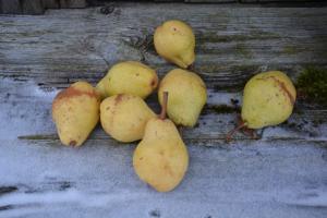 Sieben Birnen auf einem Holztisch