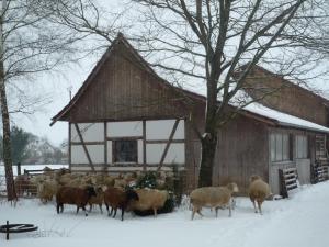 Fachwerkhaus im Schnee