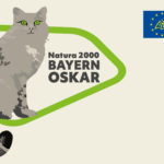 Logo Nature 2000-BayernOskar