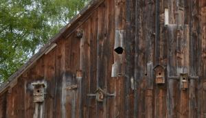 Holzhütte von außen mit Vogelhäuschen