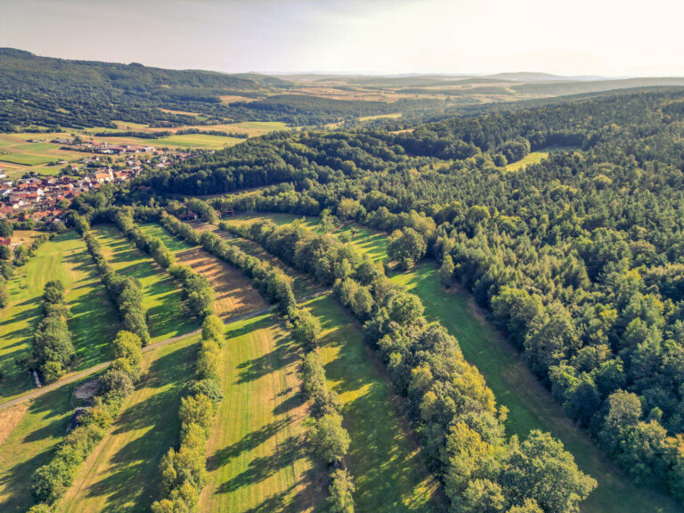 Dronenfoto eines Dorfes in einer bewaldeten Hügellandschaft. Im Vordergrund sind enge Felder-Streifen, die von Bäumen gesäumt sind, zu sehen.