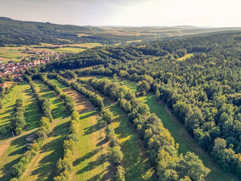 Dronenfoto eines Dorfes in einer bewaldeten Hügellandschaft. Im Vordergrund sind enge Felder-Streifen, die von Bäumen gesäumt sind, zu sehen.