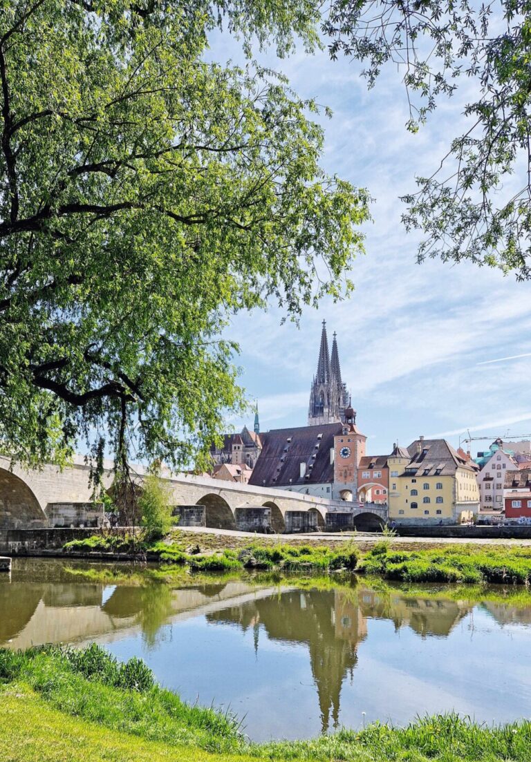 Ansicht der Stadt Regensburg. Die Steinerne Brücke ist links zu sehen, die Donau im Vordergrund mit Bäumen. Im Hintergrund der Dom und andere historische Gebäude.