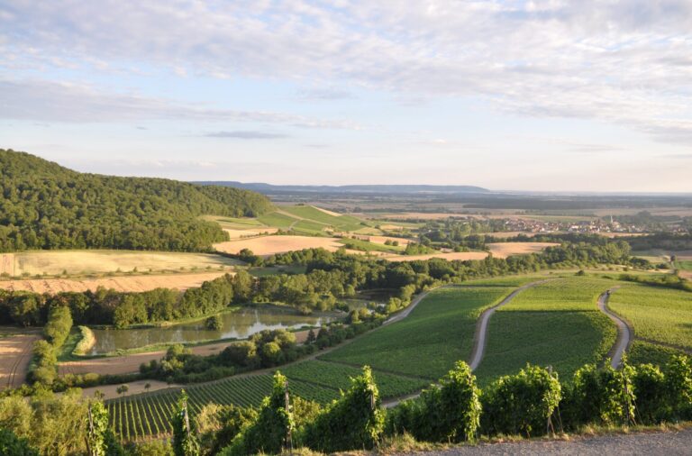 Ansicht des Stollbergs, im Vordergrund Weinreben, in der Mitte das Tal mit dem Fluss und dahinter ein bewaldeter Hügel.
